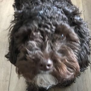 Meet your Posher, Catherine